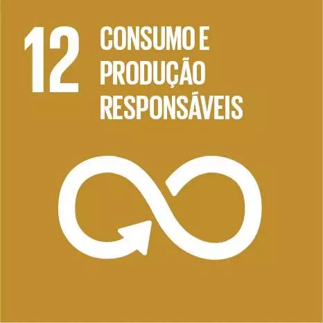 Meta 12 - Objetivos de Desenvolvimento Sustentável